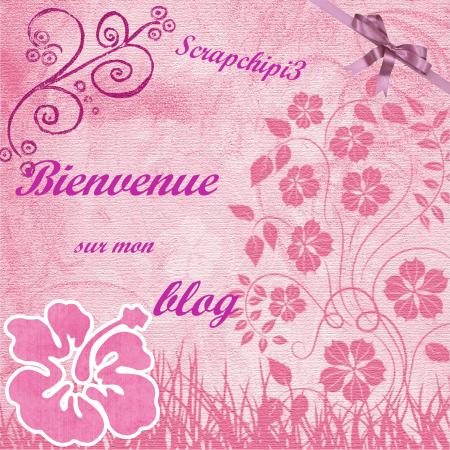 Bienvenue