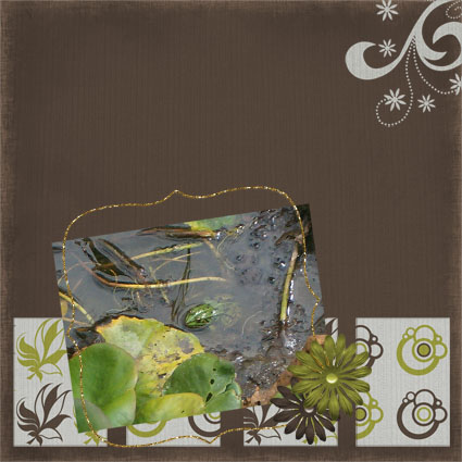 grenouille